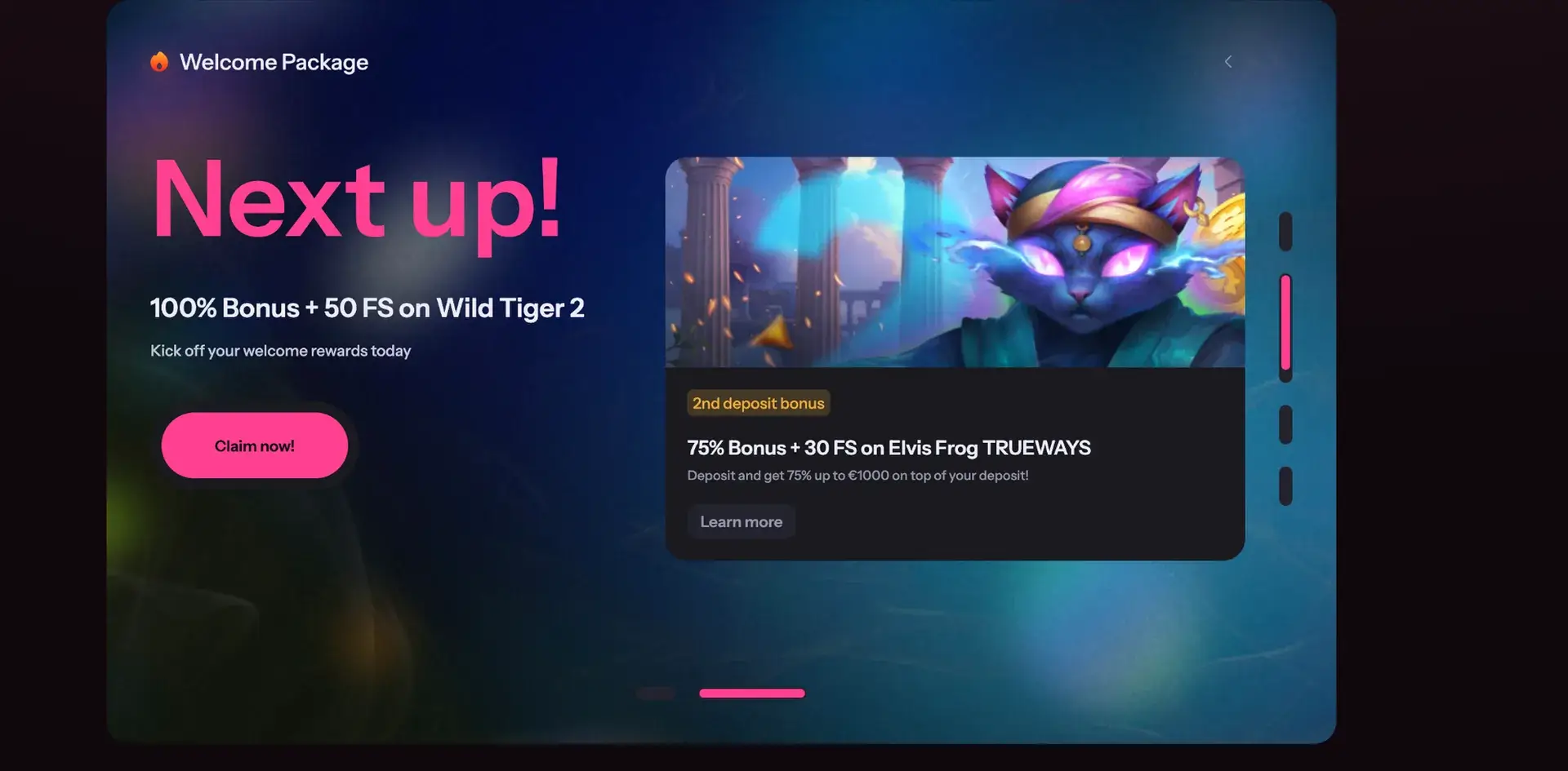 First deposit bonus – PiggyBet casino screenshot